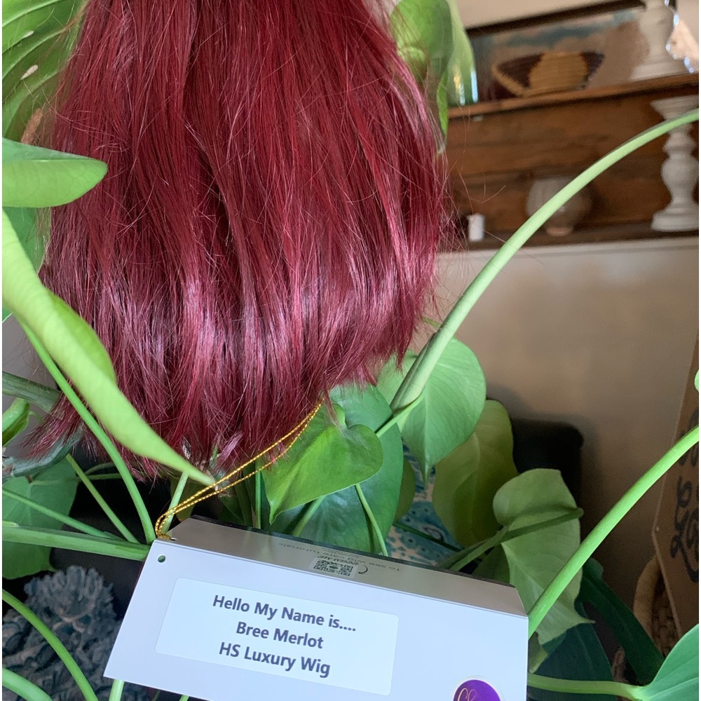 Bree wig by chic lifestyle in the color Merlot